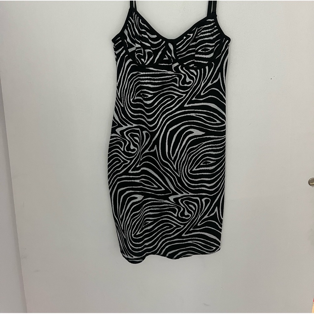 Zebra Zara dress